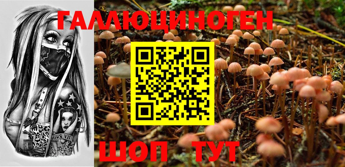 Галлюциногенные грибы GOLDEN TEACHER  Вход с VPN  купить  сайты  Елабуга 
